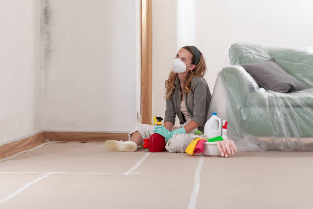Trusted Mold Testing service in White Post, VA - WQB Mold Removal